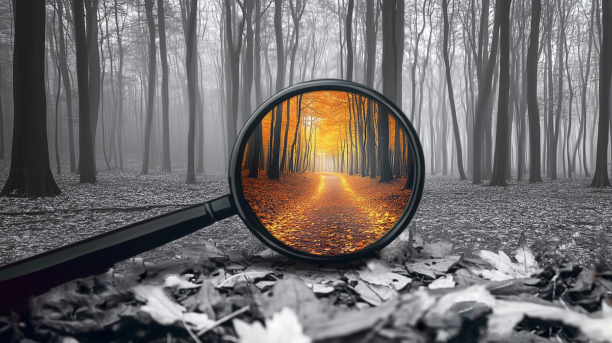 Cracking Life’s Code: Unlock Common Patterns for Meaningful Progress | No Nonsense November (15/26)